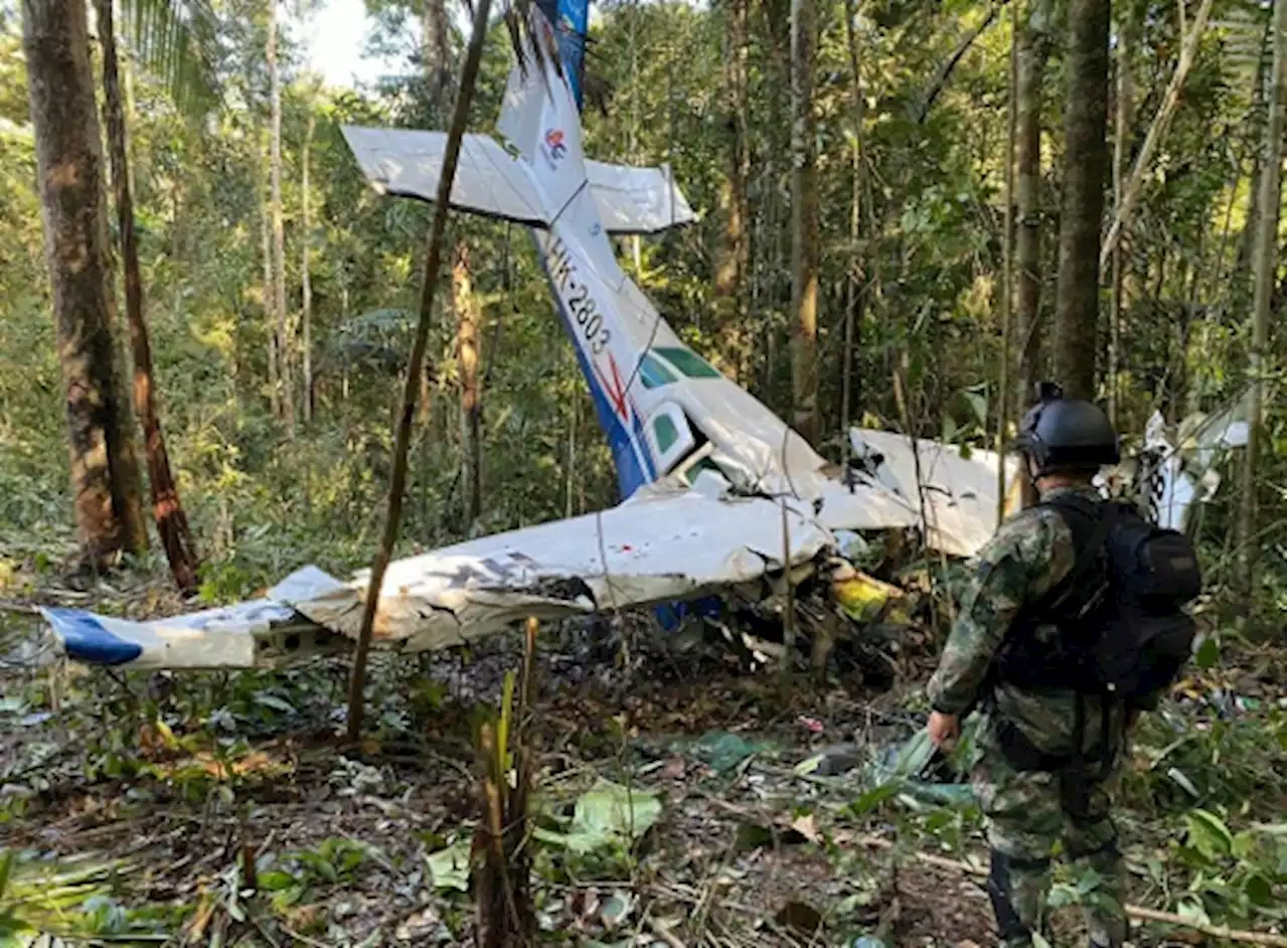 Ce que l'on sait des quatre enfants recherchés dans l'Amazonie colombienne