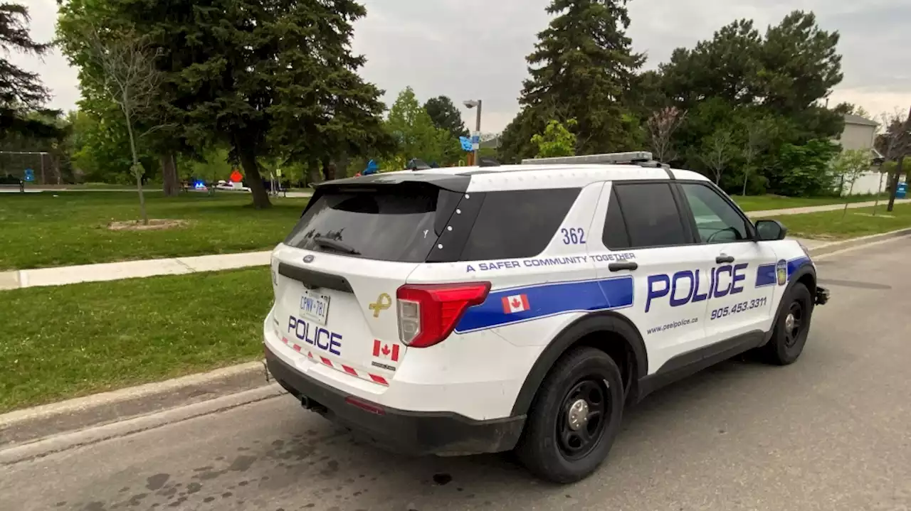 Woman dead after stabbing in Brampton, Ont.