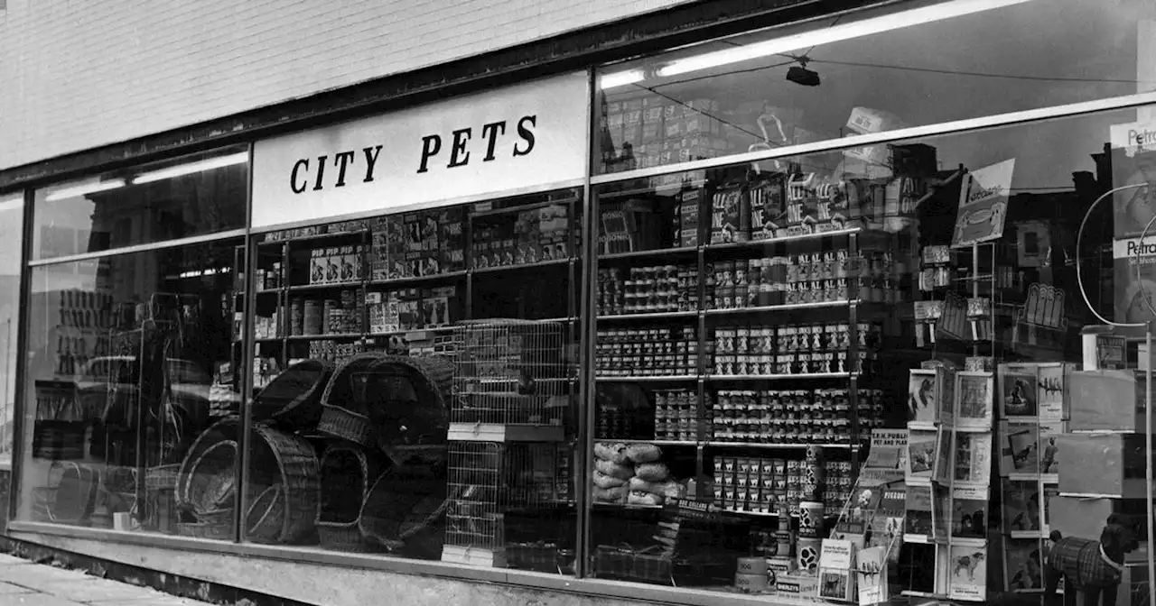 Pet shop where an ape lived inside is now a Wetherspoon