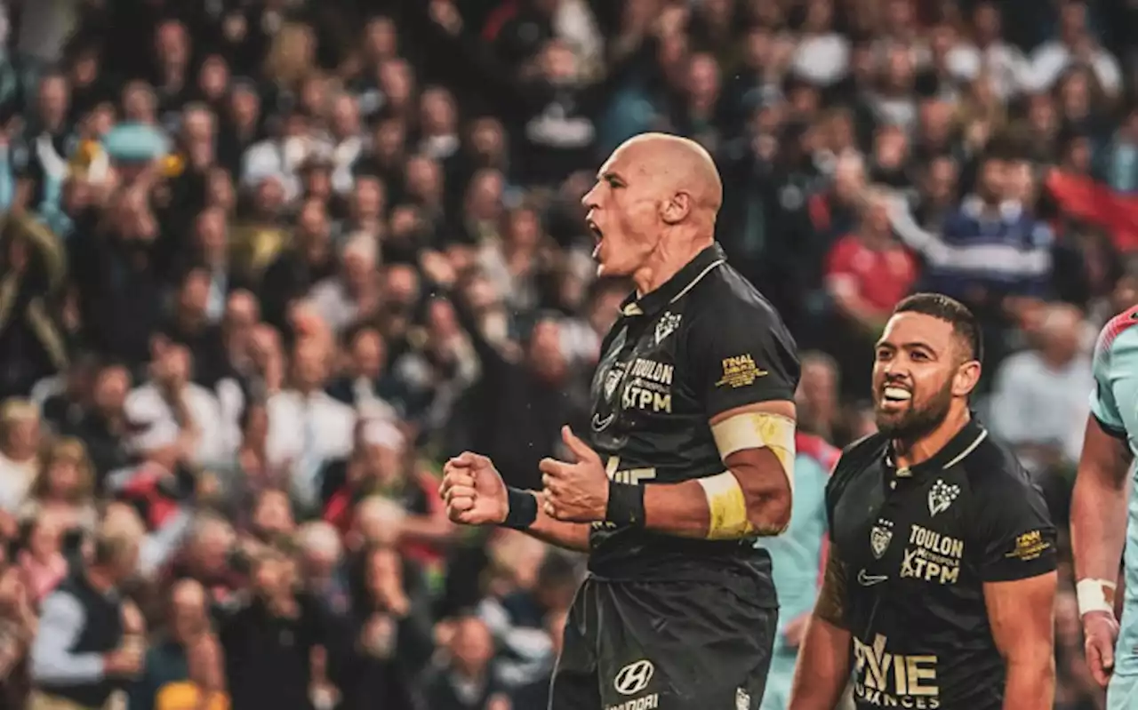 Parisse rolls back the years to guide Toulon to Challenge Cup title