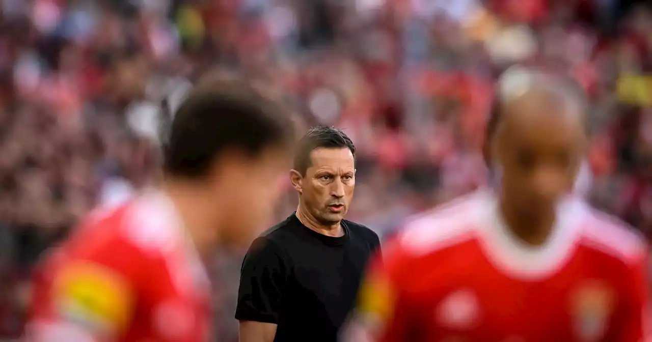 Roger Schmidt: “Anúncio de Grimaldo com fotografias, entrevistas, não foi inteligente. Foi desnecessário, na minha opinião”