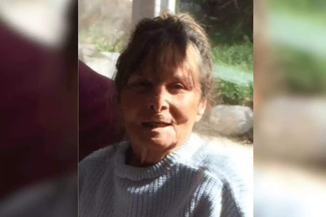 Pyrénées-Orientales : Une battue organisée pour retrouver une femme de 89 ans portée disparue