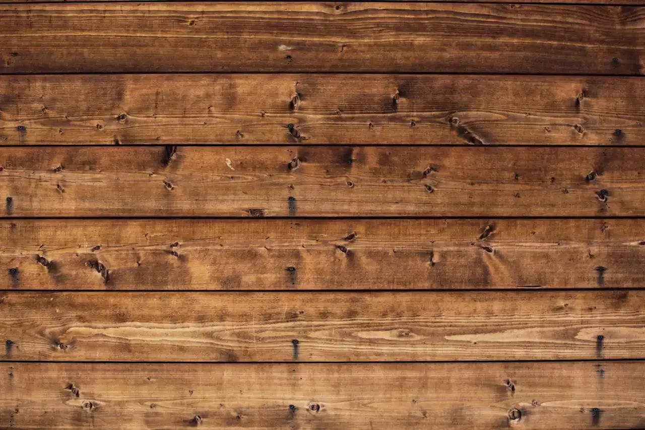 Scientists Preparing to Launch Wooden Satellite