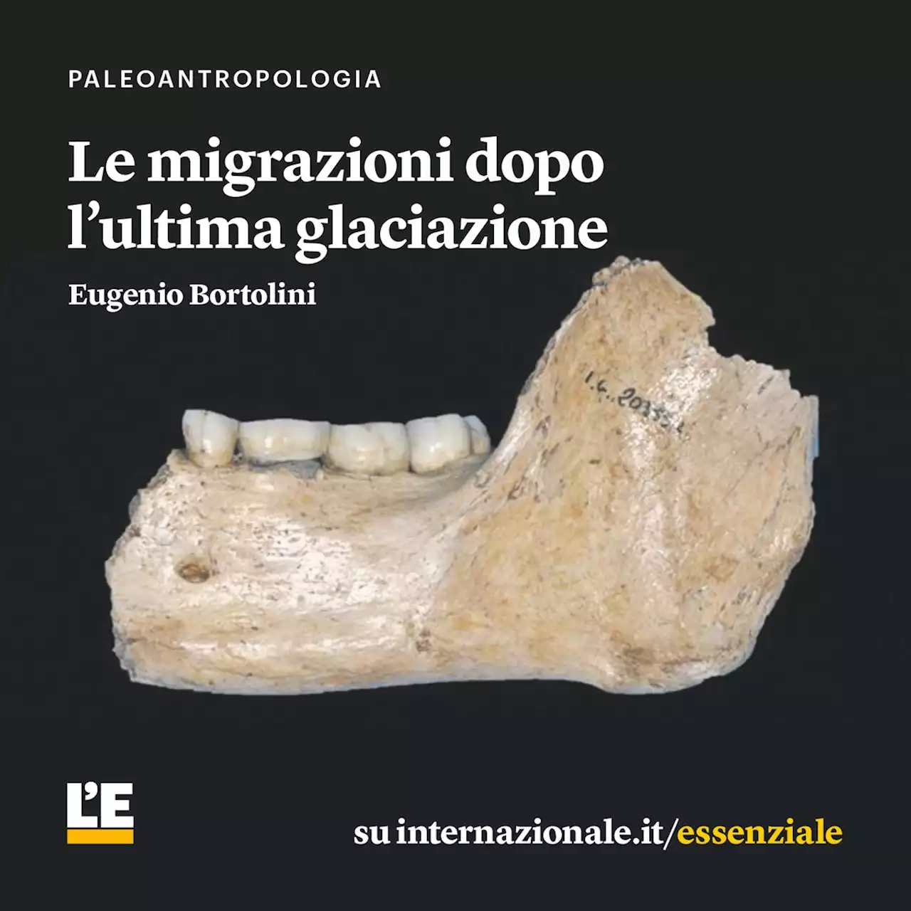 Le migrazioni dopo l’ultima glaciazione