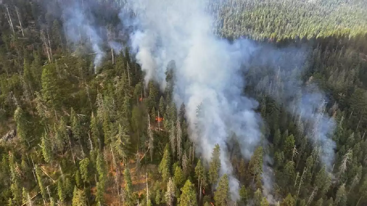 Here's why the sun appears red during wildfire season