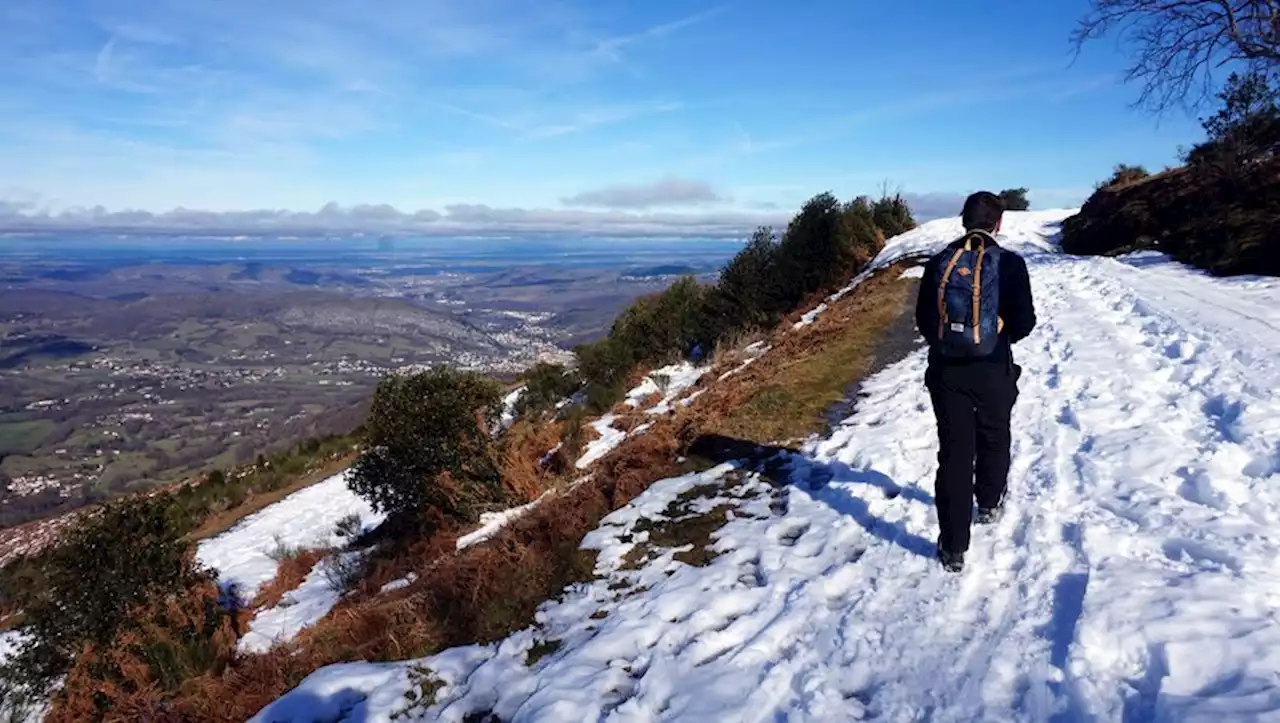 Qu'est-ce que 'la neige du coucou' tombée en abondance ces derniers jours ?