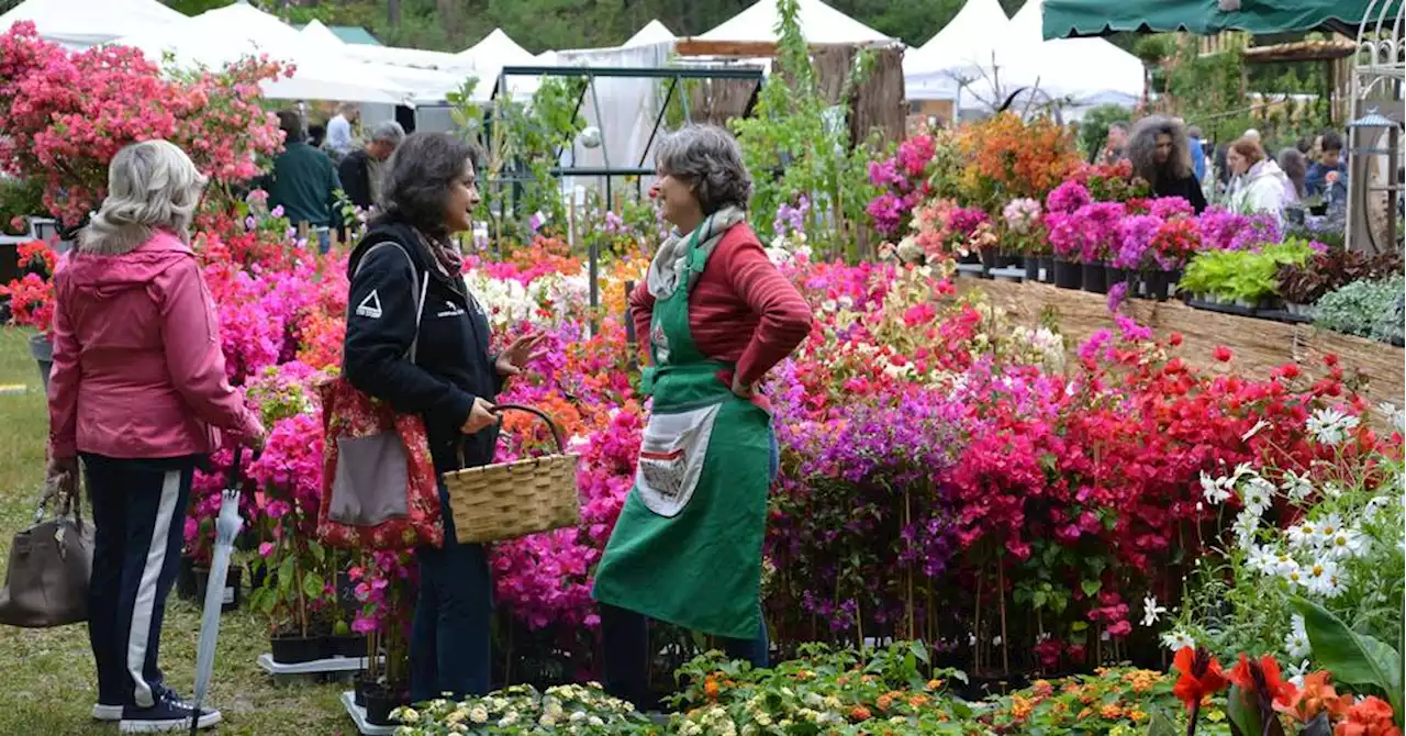 Bouc-Bel-Air : les plantes sont de retour dans les Jardins d'Albertas