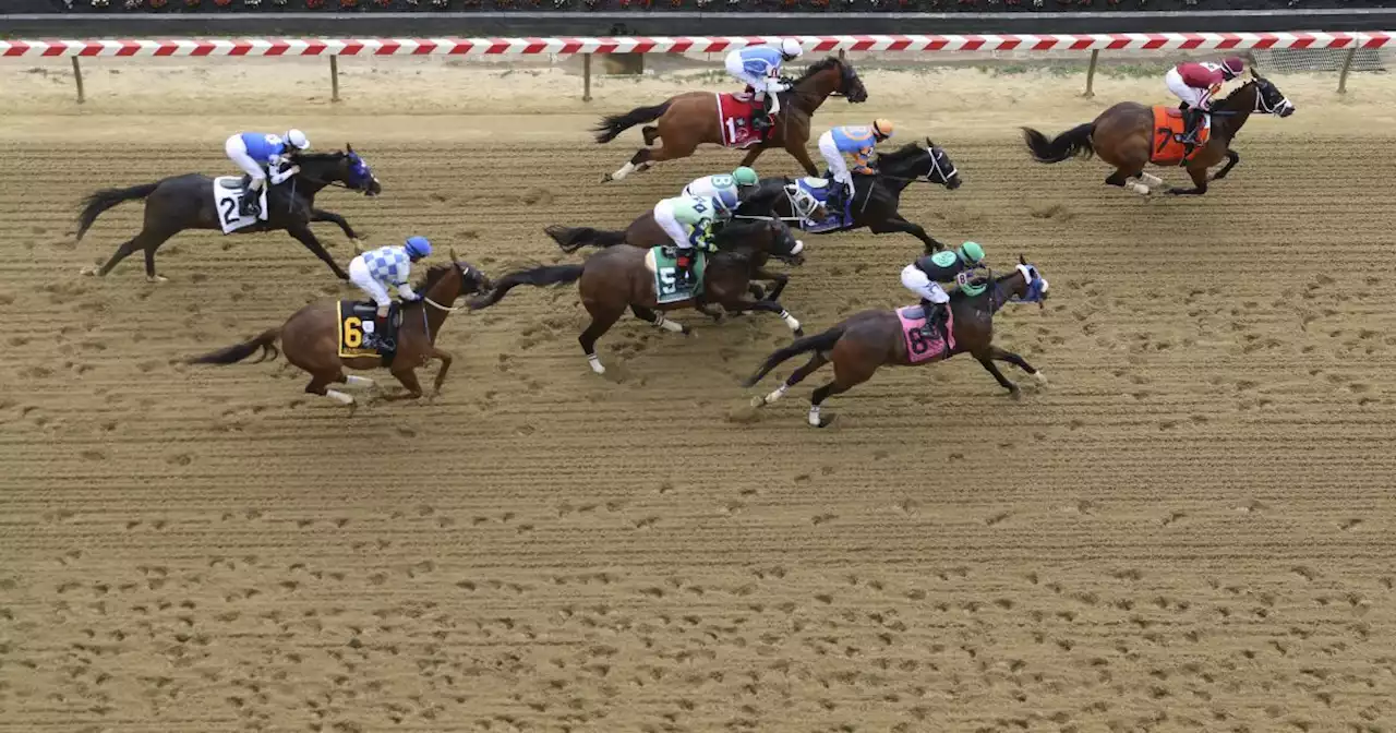 Bob Baffert horse euthanized, jockey injured during race ahead of Preakness Stakes