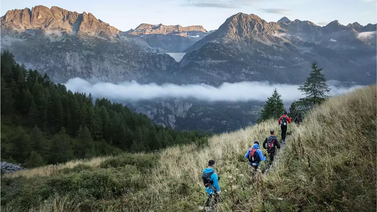 L'Ultra-Trail du Mont-Blanc est devenu une franchise internationale