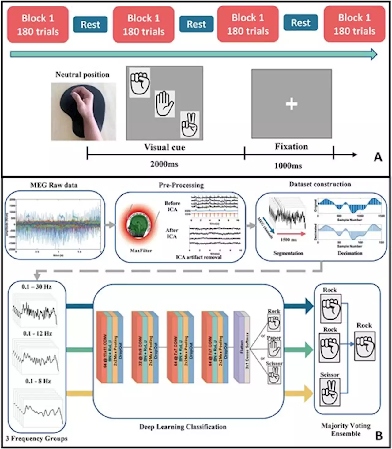 Magnetoencephalogram-based brain–computer interface for hand-gesture decoding using deep learning