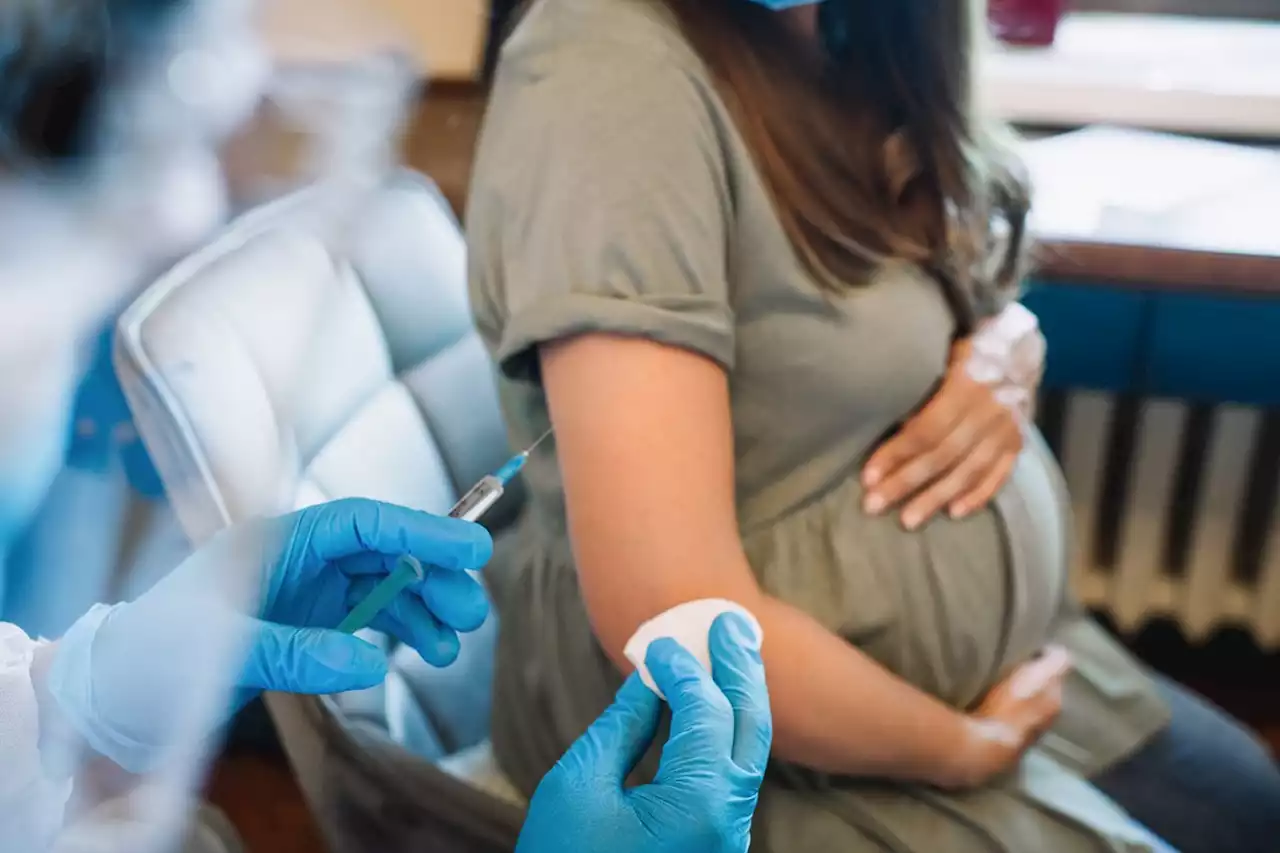 FDA Advisory Panel Recommends RSV Vaccine for Pregnant Women