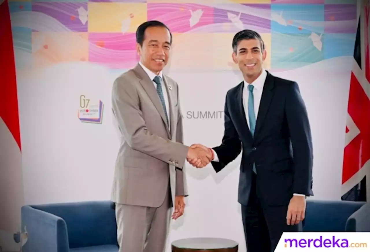 Foto : Momen Presiden Jokowi Ajak PM Inggris Berinvestasi di IKN | merdeka.com