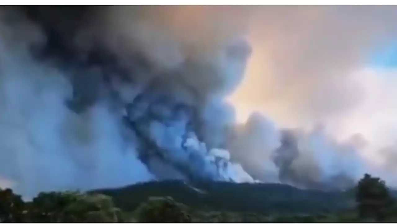 VIDÉO. Incendie 'hors de contrôle' en Espagne : les images saisissantes du feu qui ravage l'ouest du pays