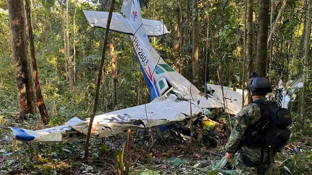 Continúa la búsqueda contrarreloj de cuatro niños en la selva de Colombia tras un accidente aéreo