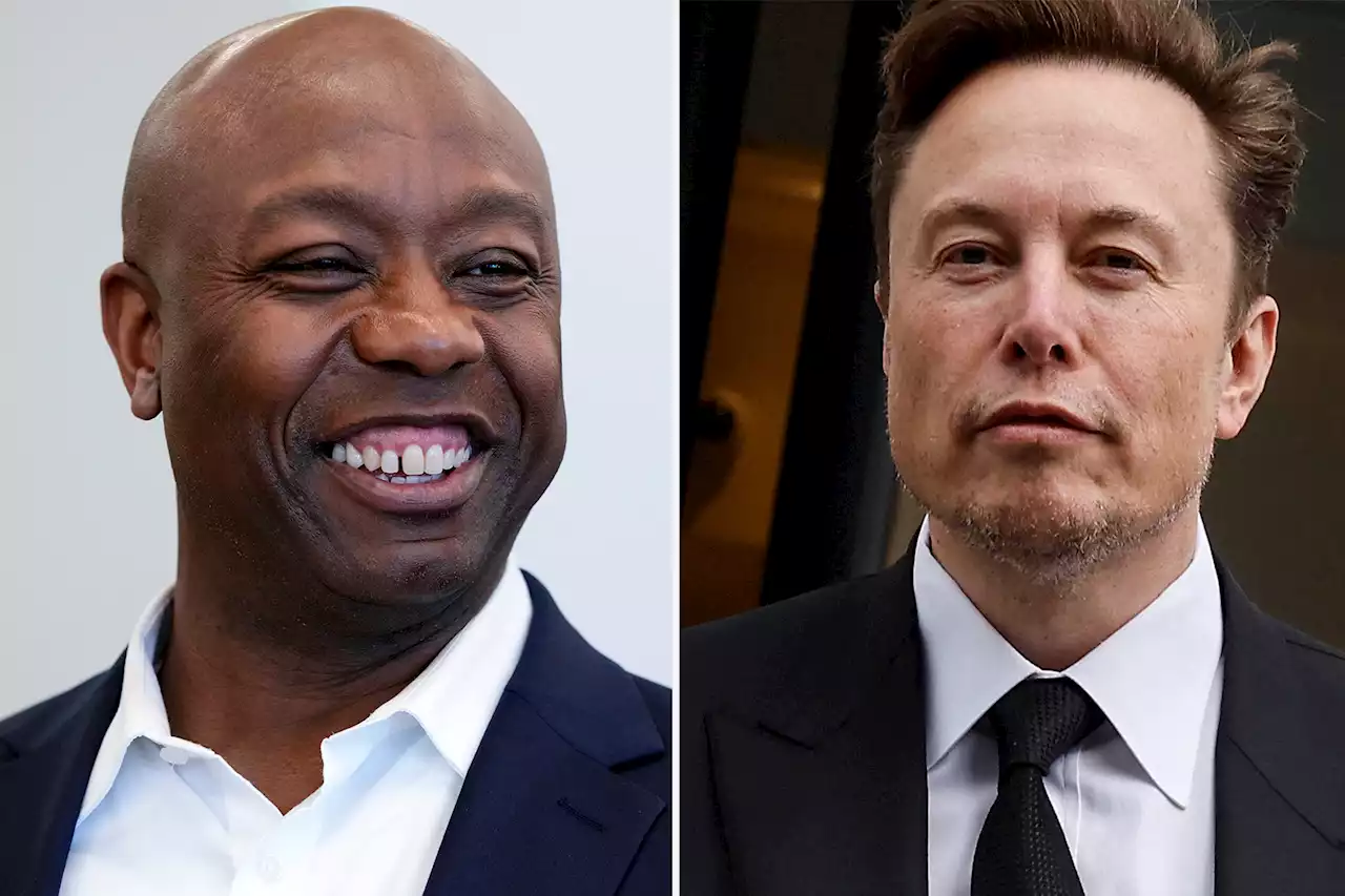 Elon Musk praises ‘great’ anti-victimhood presidential campaign ad from GOP Sen. Tim Scott