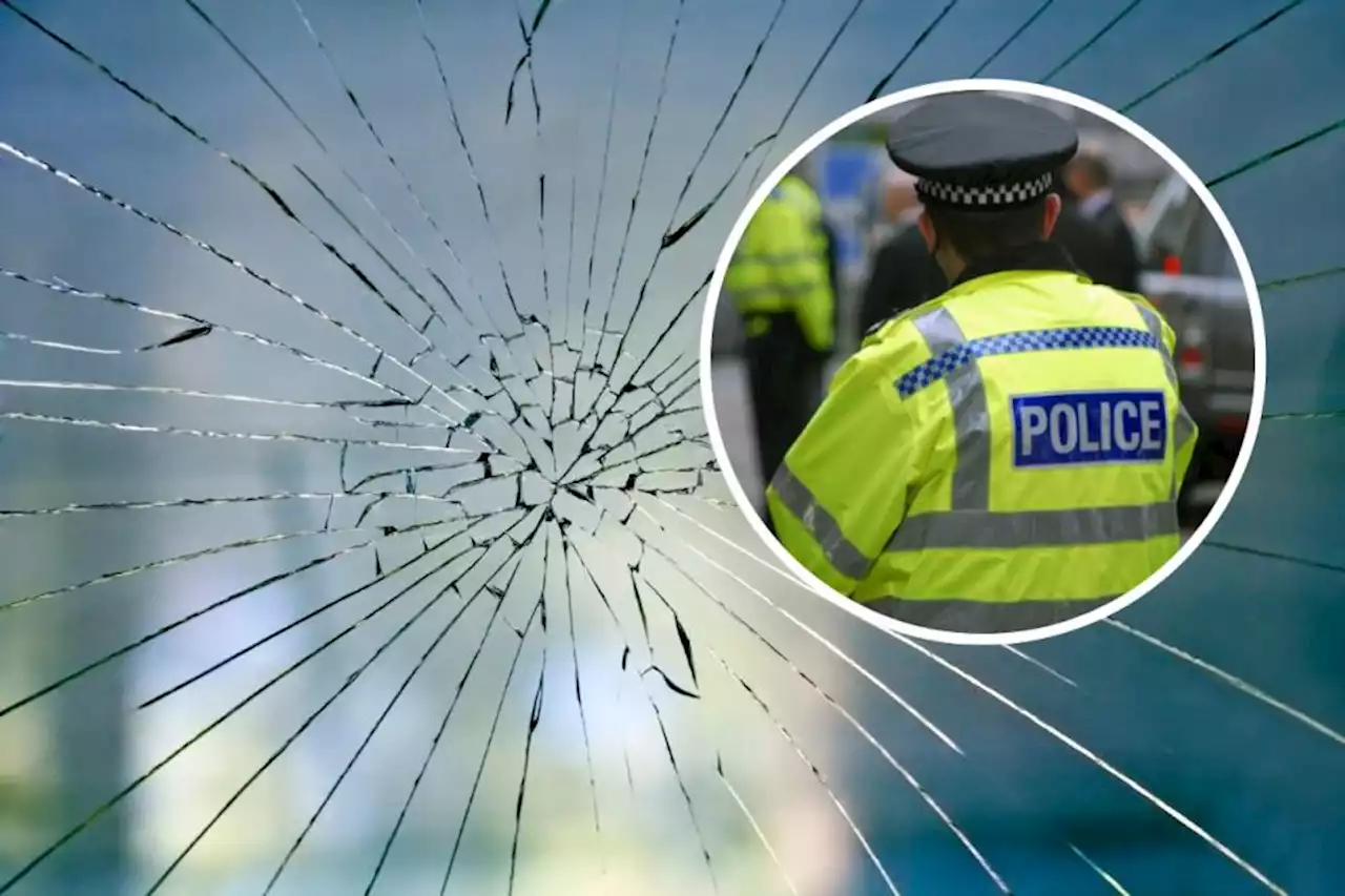 Side door window smashed by thieves in Watford burglary