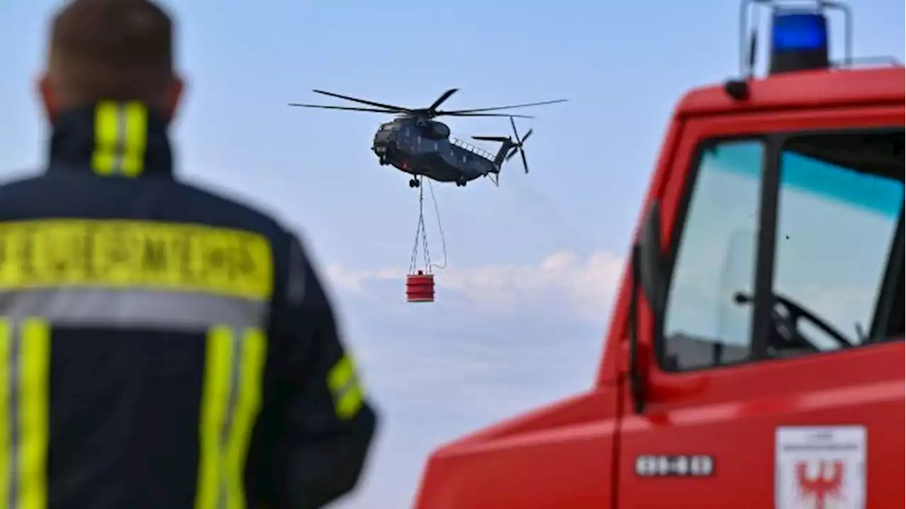 Brandenburger Feuerwehr drängt auf verstärkte Schulungen gegen Waldbrände