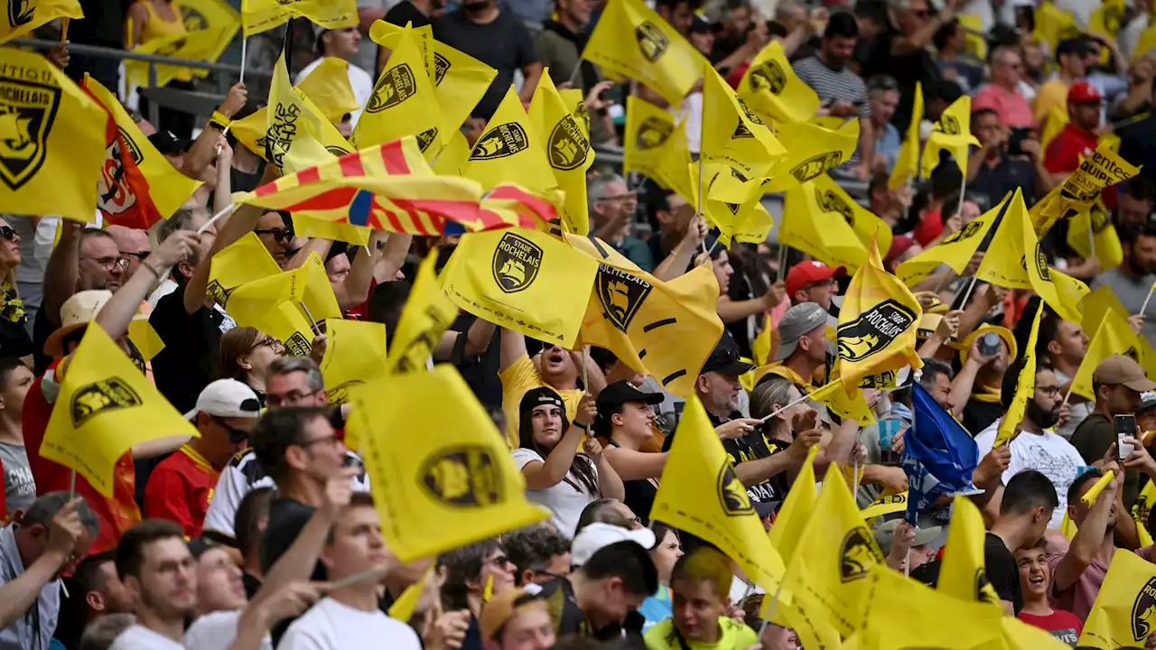 Leinster-La Rochelle: les supporters rochelais prêts à vibrer