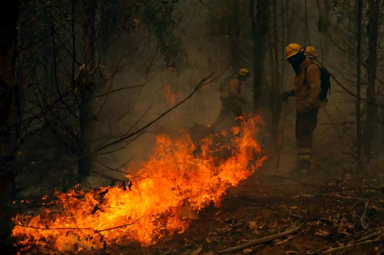 Espagne : 9.000 hectares ravagés par un incendie incontrôlable