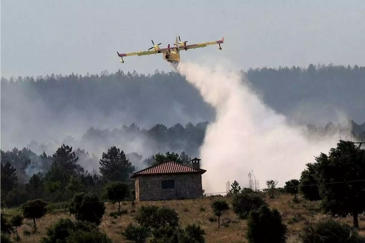 Spain says containing wildfire as conditions improve