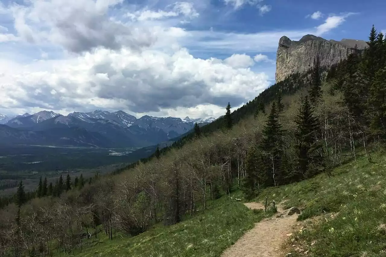 Parks Canada plans major rewrite of more than 200 historic site plaques - Terrace Standard