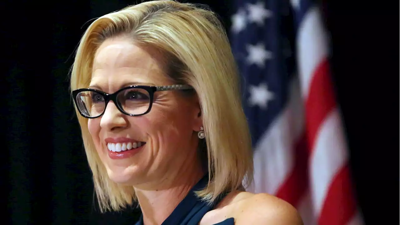 Anti-Sinema PAC Demands Probe of Spending Revealed by Daily Beast