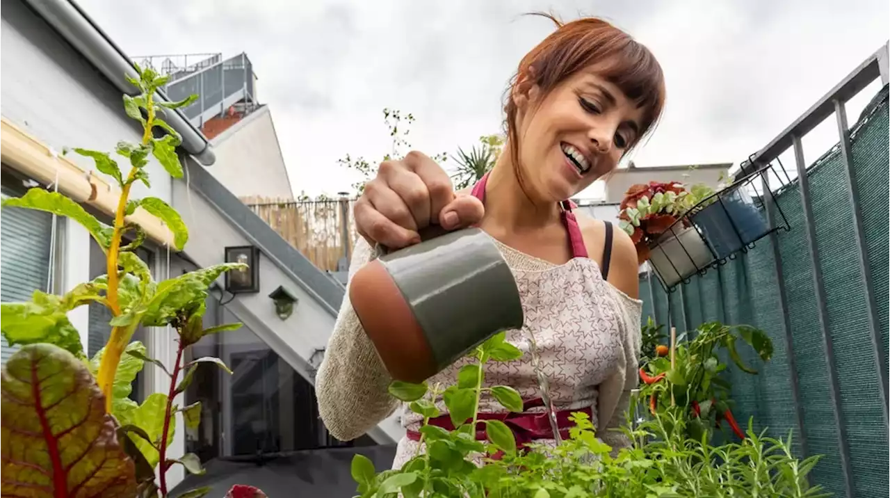 Una mujer se volvió viral al regar las plantas sin ropa: “Me encanta, es tan liberador”