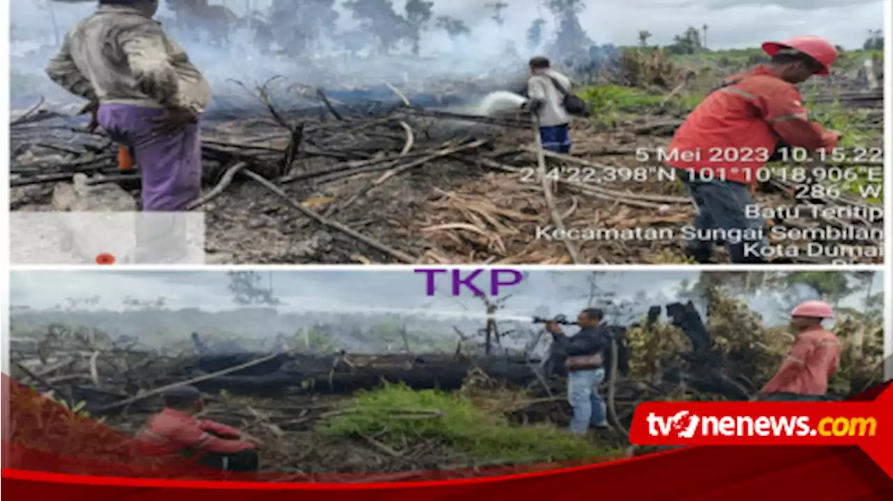 Gunakan Aplikasi Dashboard Lancang Kuning, Polres Dumai Berhasil Ungkap 4 Kasus Pembakaran Hutan dan Lahan