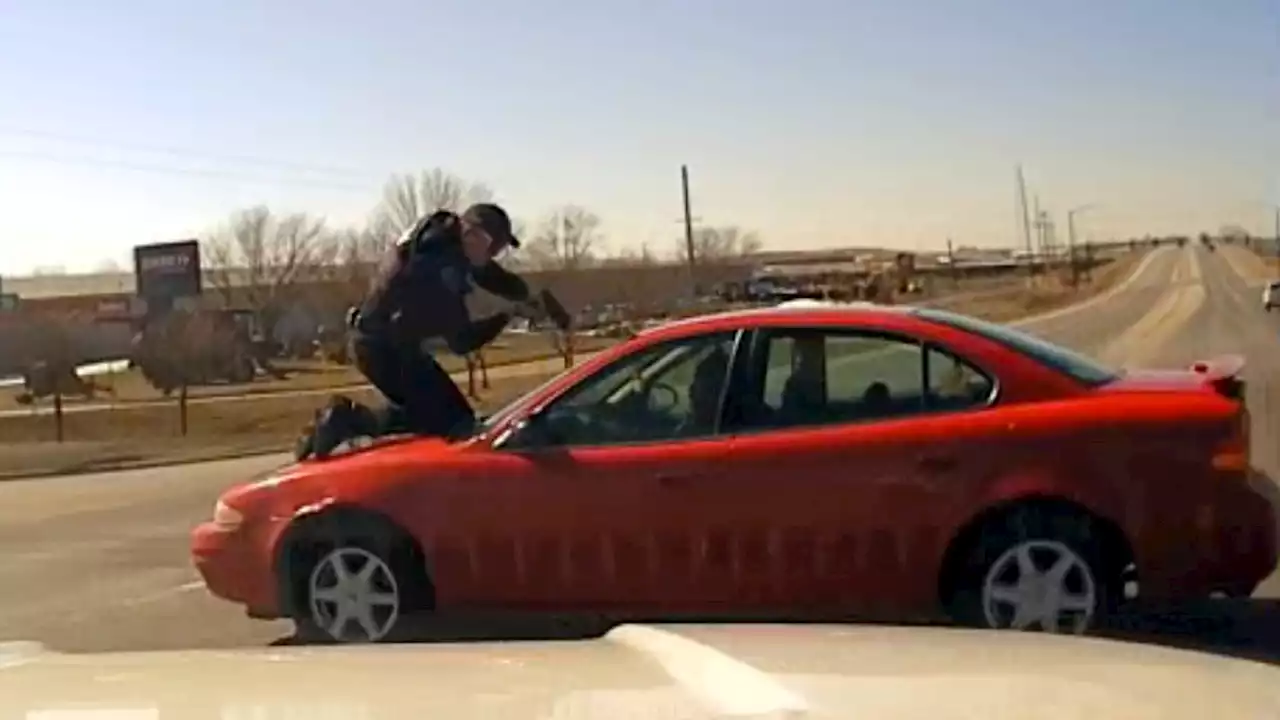 Video Shows Chicago-Area Driver Fleeing Iowa Police With Officer on Hood, Roof of Car