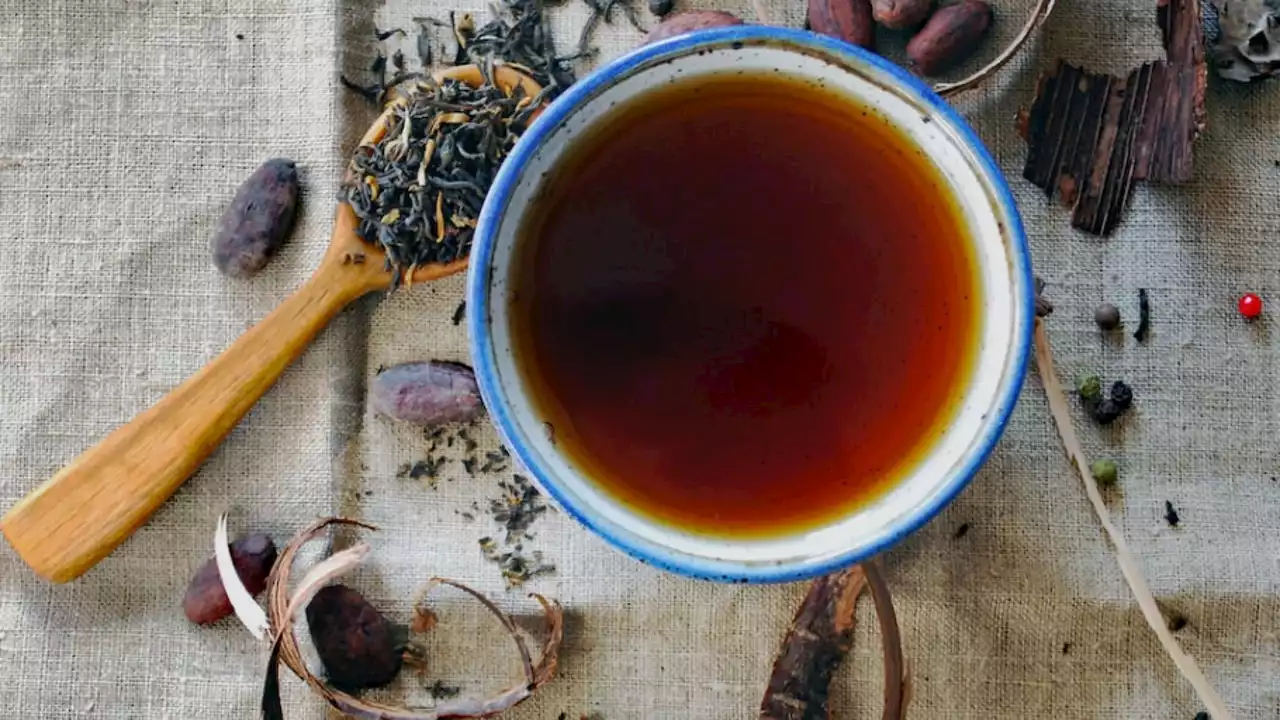 El té y los beneficios que genera a tu salud al tomarlo regularmente