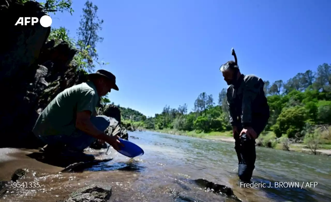 En Californie, les pluies abondantes ravivent le souvenir de la ruée vers l'or