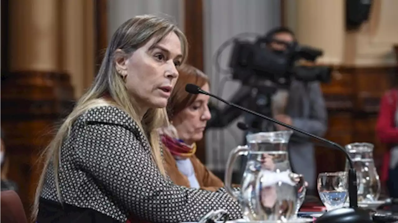 Di Tullio presentó en el Parlatino un repudio a la violencia política contra las mujeres