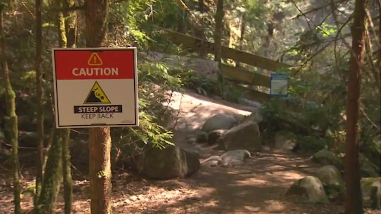 Man drowns trying to rescue dog swept away by West Vancouver creek | CBC News