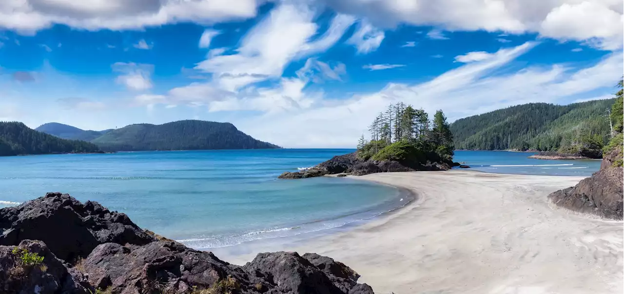 'Paradise': North Island's San Josef named one of the world's best beaches