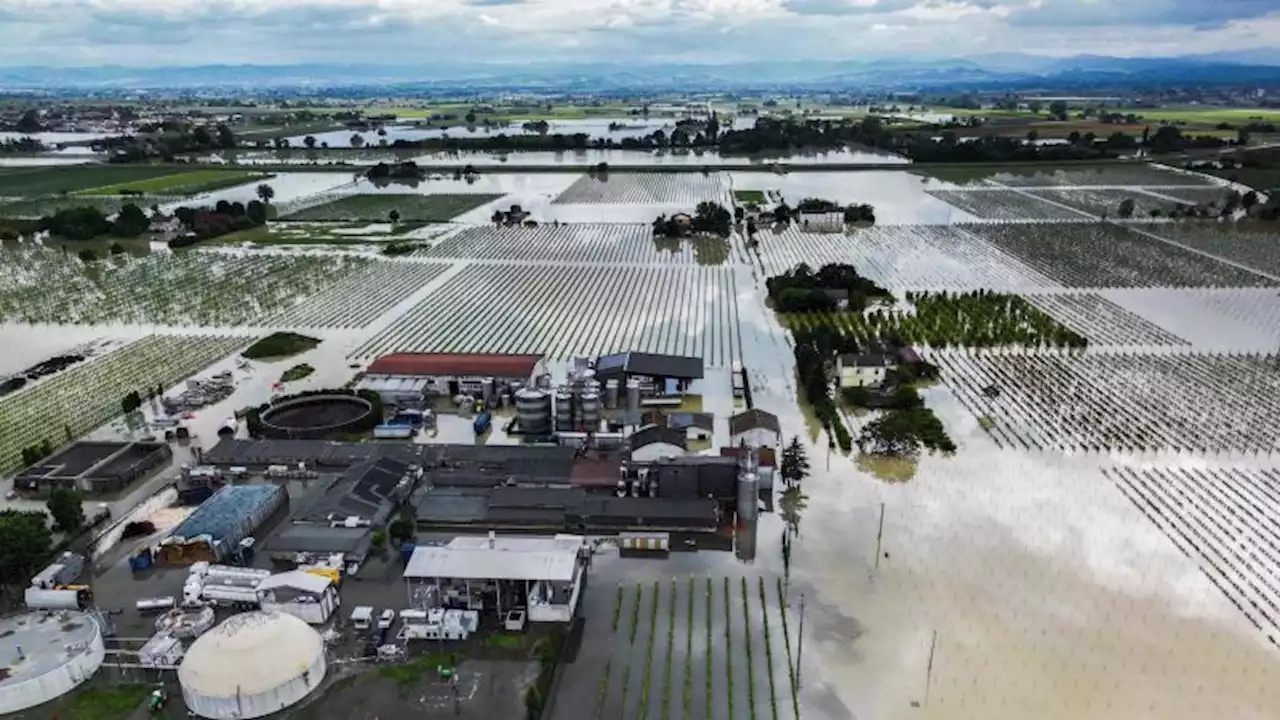 Floods ruin crops and drown livestock in one of Italy's gastronomic heartlands | CNN