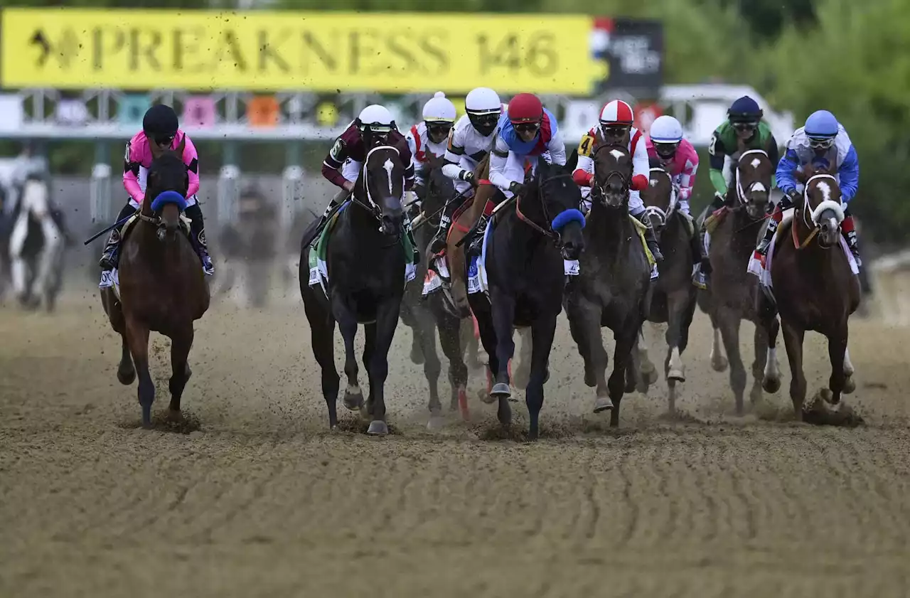 2023 Preakness Stakes Win, Place & Show Picks