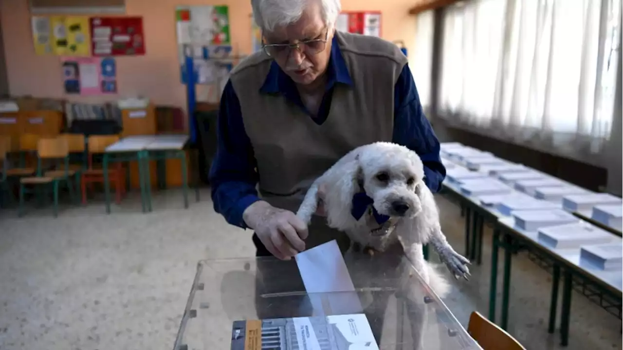 Greek elections: Conservative party in lead but unlikely to form government outright