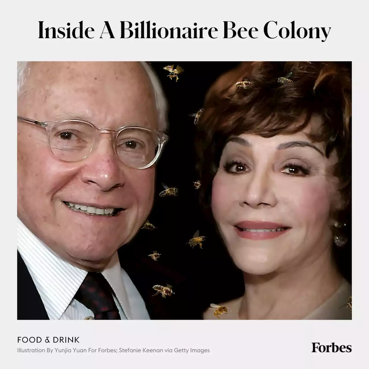 Inside A Billionaire Bee Colony