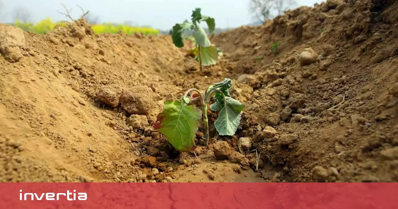 El agro, una actividad de riesgo: el capital asegurado acumula ocho años de récord y supera ya los 16.000 M€