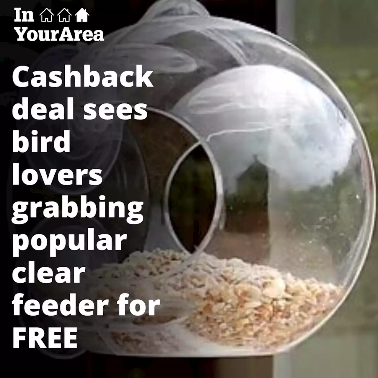 How to get your hands on a free clear bird feeder this summer