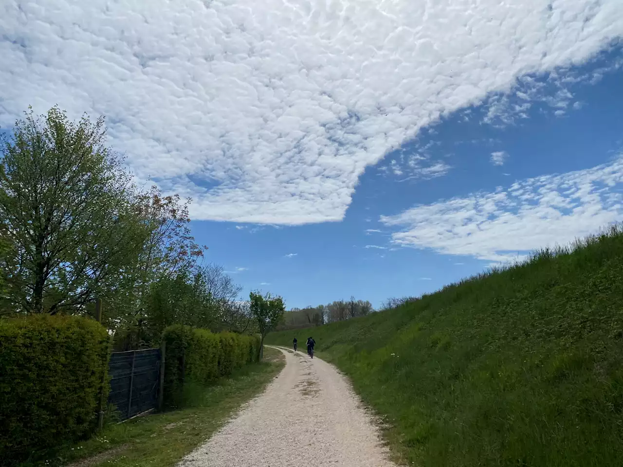 Lignano e la magia delle 3 acque: tour in e-bike lungo fiumi, mare e laguna