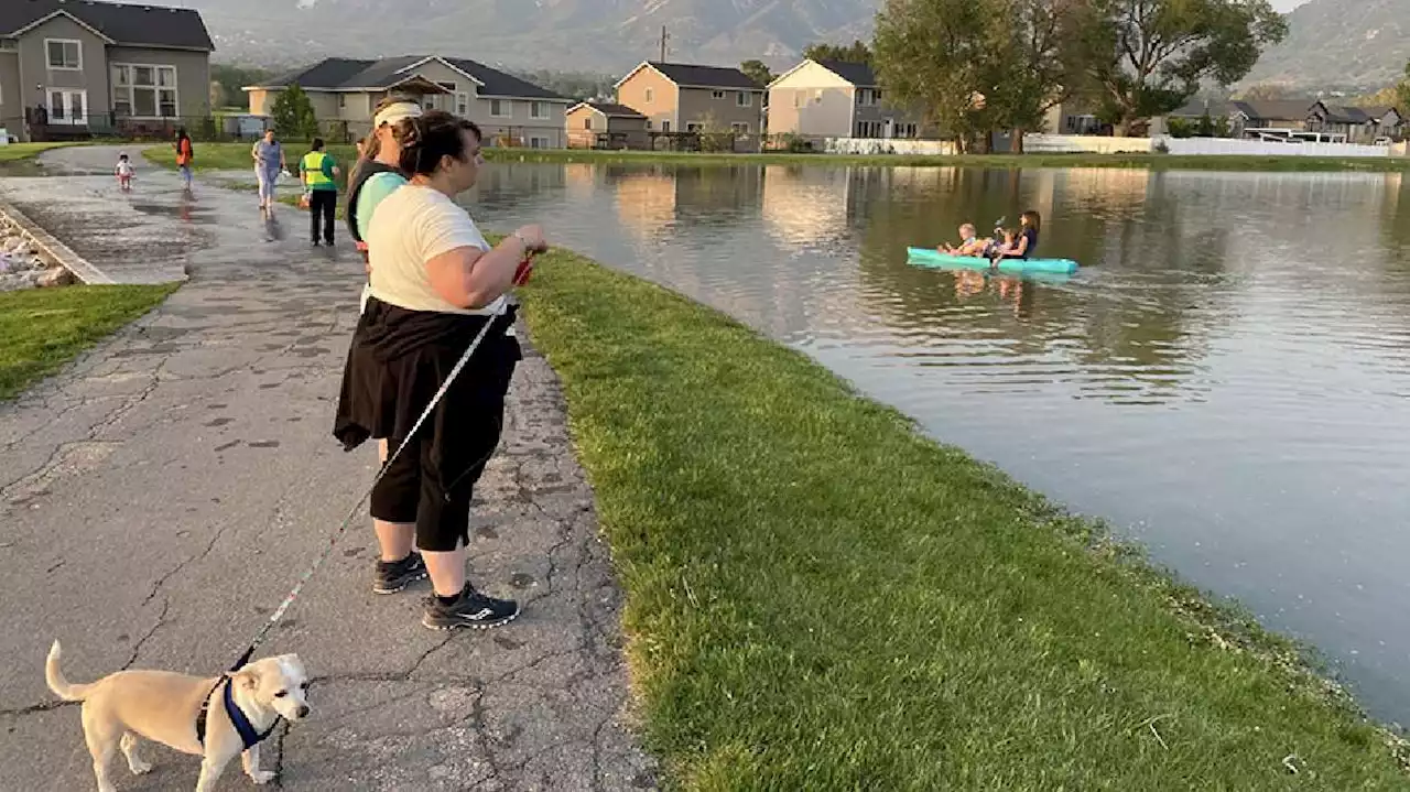 North Ogden's Orton Park overflows, neighbors show up with paddle boards, pets