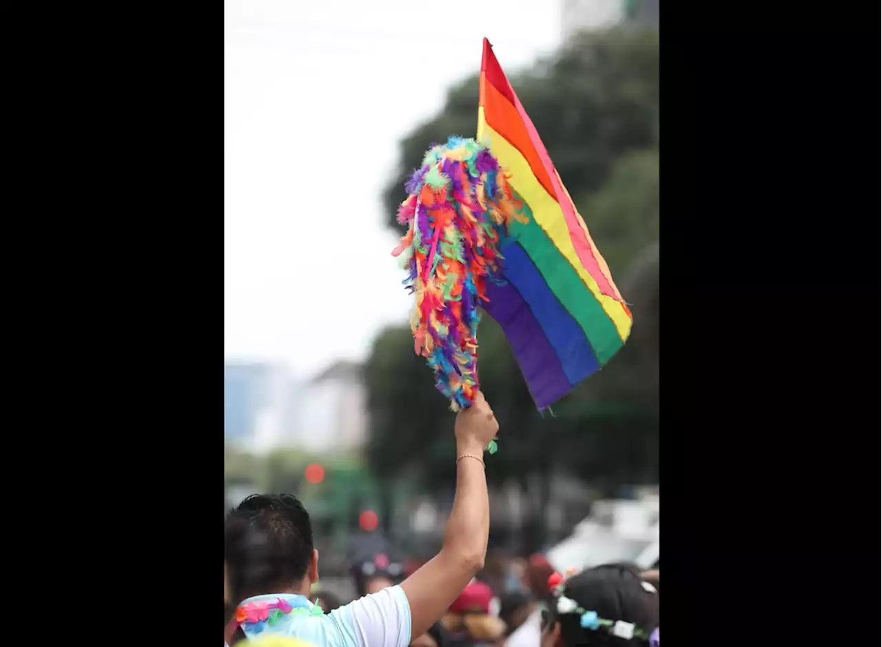 La Jornada: Todos los derechos para todas las personas LGBTT+