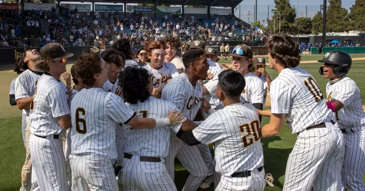 Southern Section baseball: Crespi rallies late, tops South Hills for Division 2 title