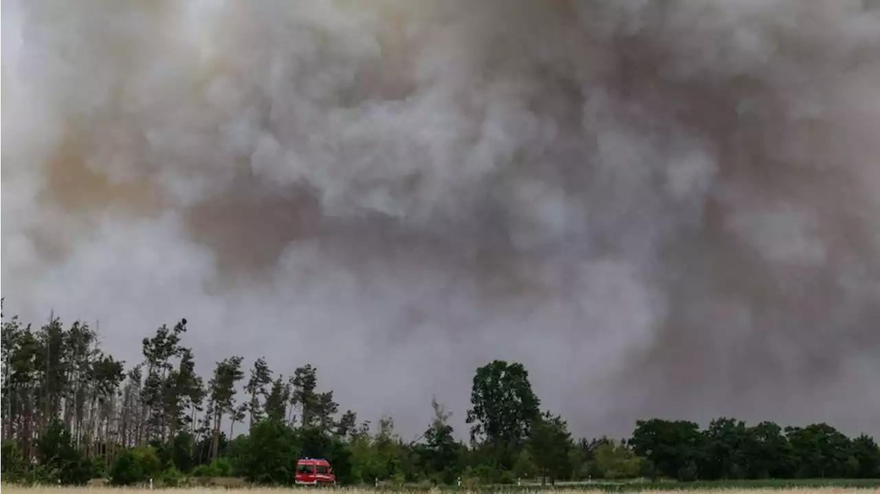 Mehrere Waldbrände: Seit Saisonbeginn 40 Feuer