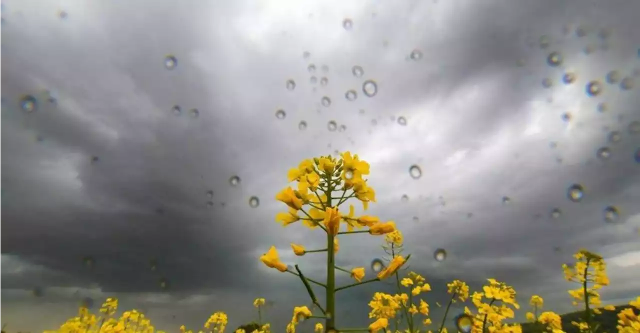 Auf Sonne folgt Regen: Am Sonntag steigt das Gewitterrisiko in Bayern