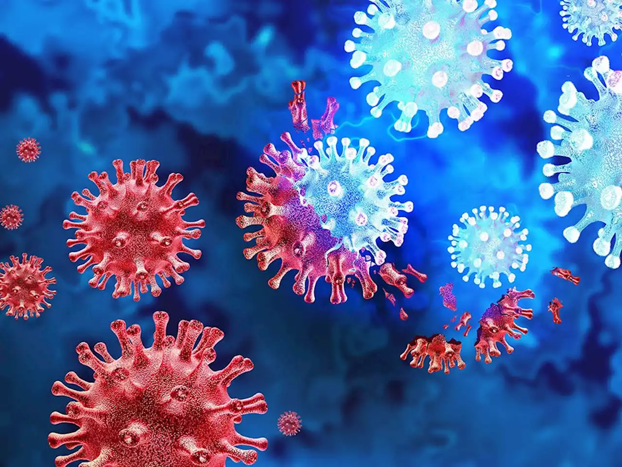 Disease X is coming, and with it the next global pandemic, scientists warn