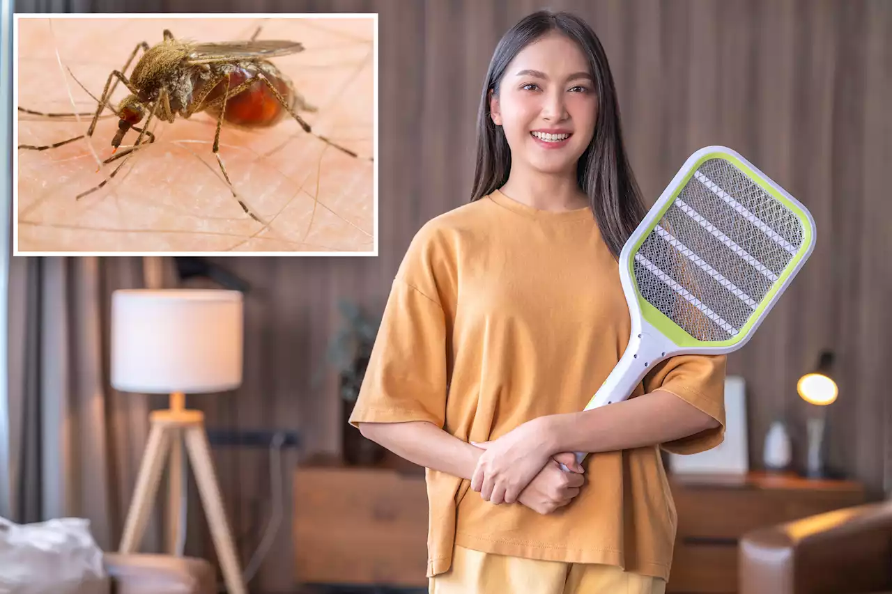 Are you a mosquito magnet? It might be for one unpleasant reason