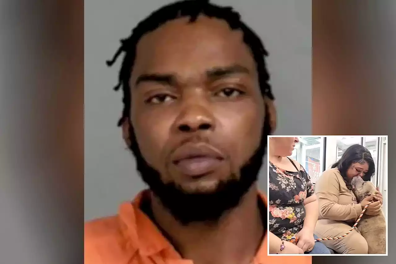 Michigan man wanted for alleged dog fighting ring after 8 found starving, 6 others discovered rotting in yard