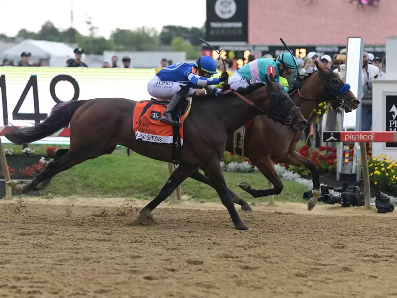 National Treasure wins Preakness, hours after other Baffert horse euthanized